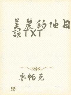 美丽的他日剧小说TXT