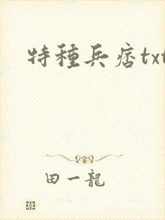 特种兵痞txt