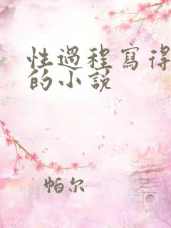 性过程写得详细的小说