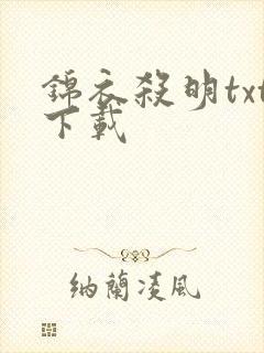 锦衣杀明txt下载