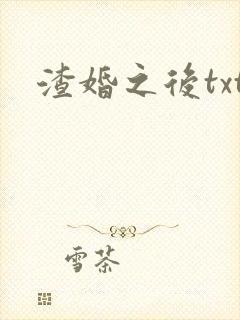 渣婚之后txt