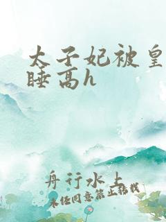 太子妃被皇上强睡高h