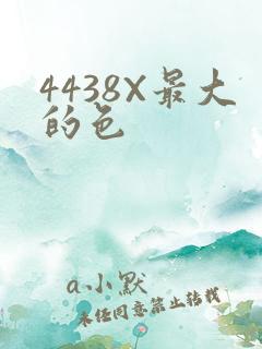 4438X最大的色