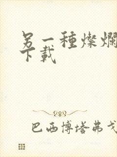 另一种灿烂生活下载