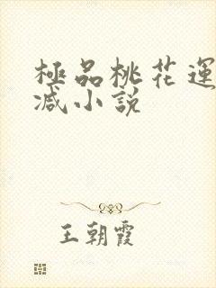 极品桃花运未删减小说