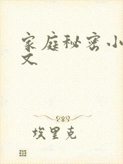 家庭秘密小说全文