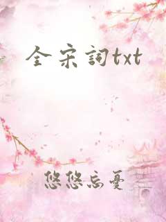 全宋词txt