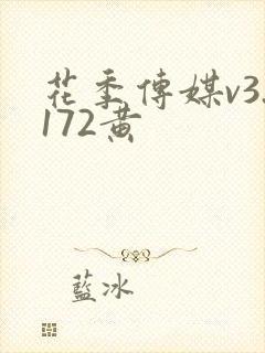 花季传媒v3.172黄