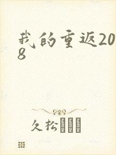 我的重返2008