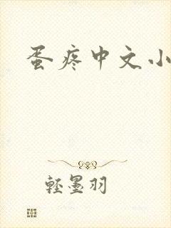 蛋疼中文小说网