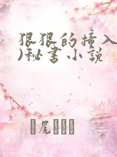 狠狠的撞入(h)秘书小说