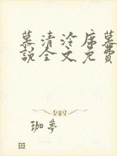 慕清泠席慕深小说全文免费阅读