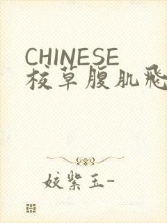 CHINESE校草腹肌飞机视频