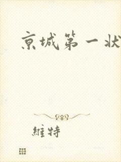 京城第一状师