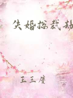 失婚总裁劫前妻