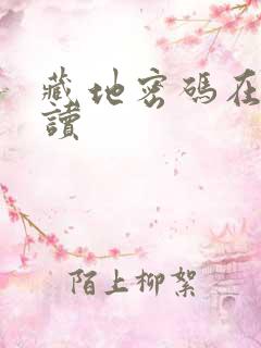 藏地密码在线阅读