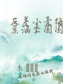 反差小青梅不经叶涵季园园