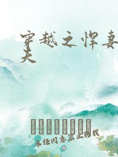 穿越之悍妻共三夫