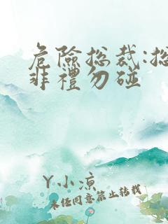 危险总裁:总裁非礼勿碰