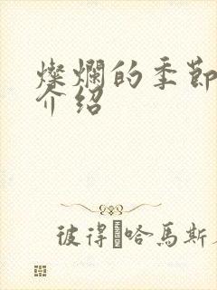 灿烂的季节剧情介绍