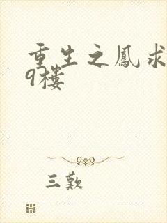 重生之凤求凰19楼