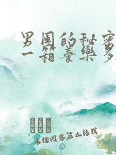 男团的秘密BY一箱养乐多小说