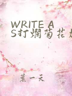 WRITE AS打烂菊花加姜