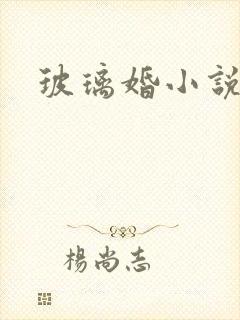 玻璃婚小说