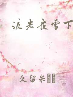 流光夜雪下载