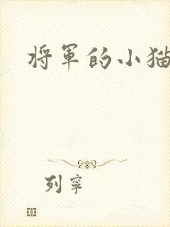 将军的小猫咪