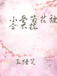 小受菊花被双龙合不拢