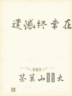 遗憾终常在小说