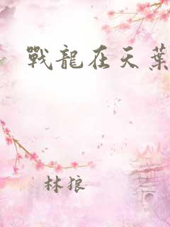 战龙在天叶凡