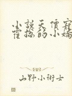 小说天价宠妻:霍总的小娇妻