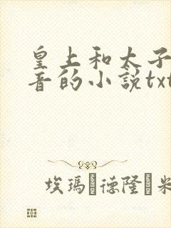 皇上和太子妃沈音的小说txt