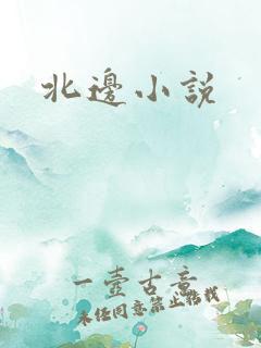 北边小说