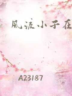 风流小子在异世