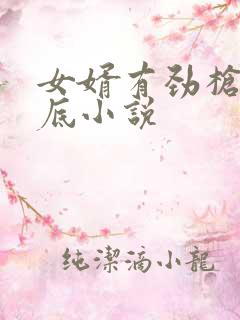 女婿有劲枪枪到底小说