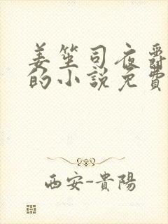 姜笙司夜爵顾念的小说免费阅读