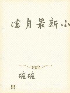 沧月最新小说