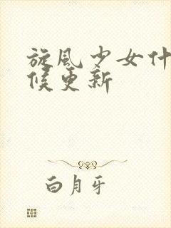 旋风少女什么时候更新