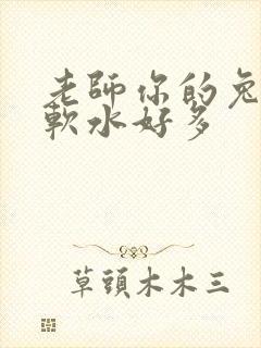 老师你的兔子好软水好多