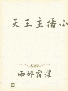 天王主播小说