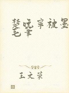 楚晚宁被墨燃塞毛笔