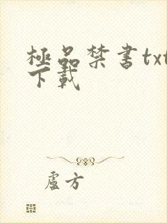 极品禁书txt下载