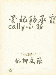 贵妃的承宠日常cally小说