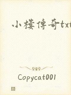 小楼传奇txt