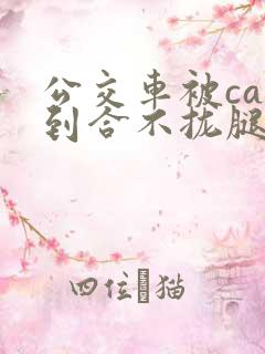 公交车被cao到合不拢腿视频