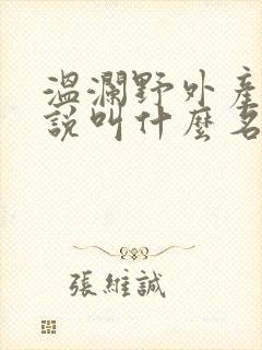 温澜野外产子小说叫什么名字