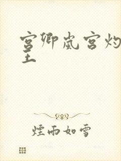 宫卿岚宫灼摄政王